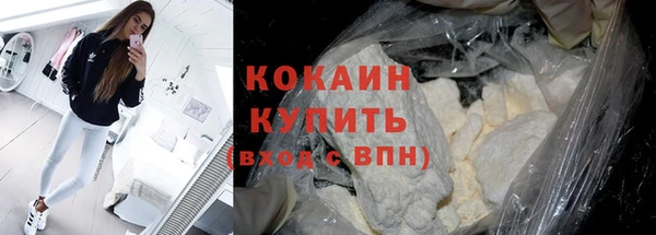 индика Пролетарск
