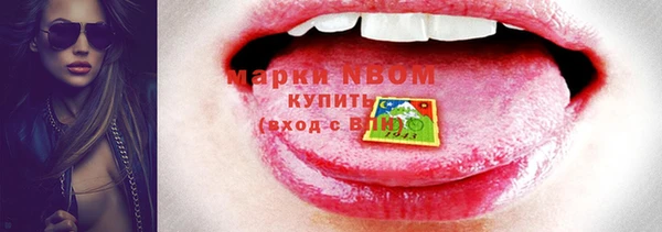 шишки Приозерск