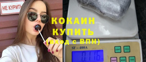 шишки Приозерск