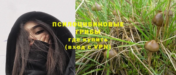 бошки Протвино