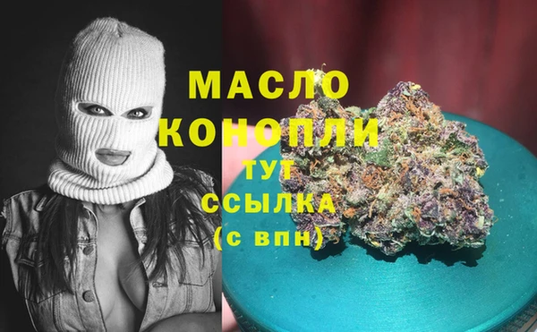 индика Пролетарск