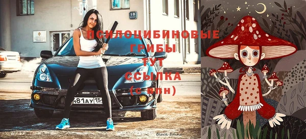 шишки Приозерск