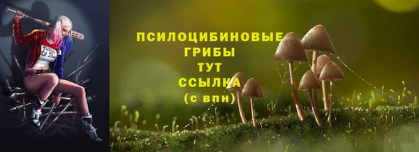 шишки Приозерск