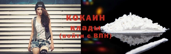 индика Пролетарск