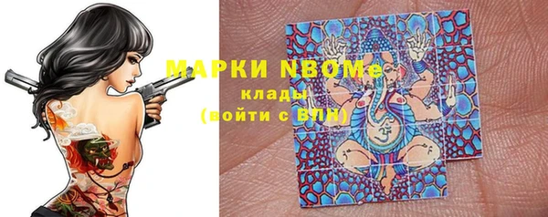 шишки Приозерск