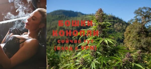 индика Пролетарск