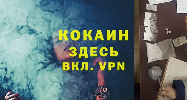 шишки Приозерск