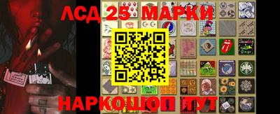 спайс Гатчина