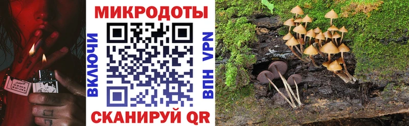 купить наркоту  omg зеркало  Галлюциногенные грибы MAGIC MUSHROOMS  Рославль 
