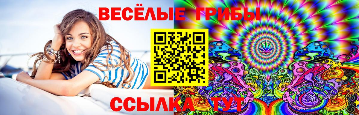 Псилоцибиновые грибы GOLDEN TEACHER Рославль
