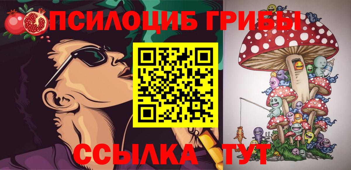 Галлюциногенные грибы прущие грибы  Вход с VPN  Рославль 